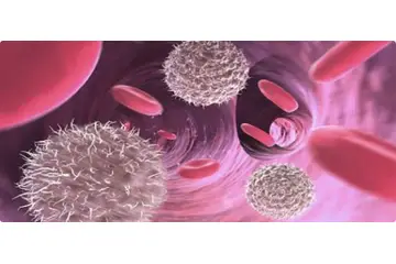 Bakteriyel Enfeksiyon Belirtileri ve Tedavisi