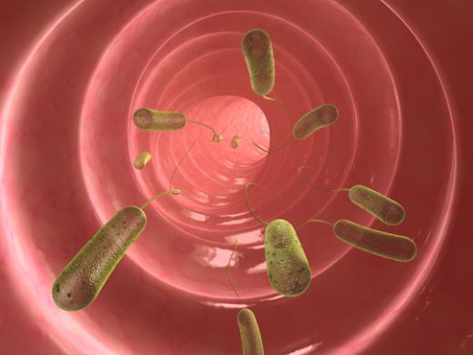 Bağırsak Enfeksiyonu Belirtileri ve Tedavisi