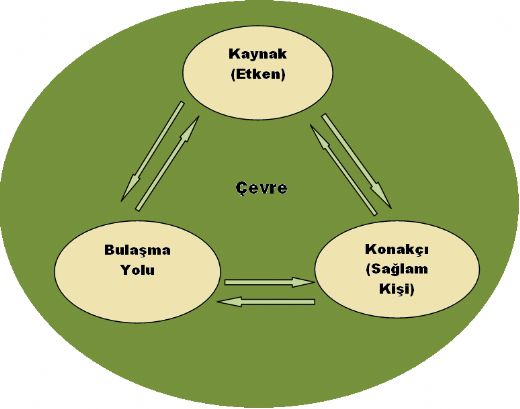 Enfeksiyon Zinciri Nedir?